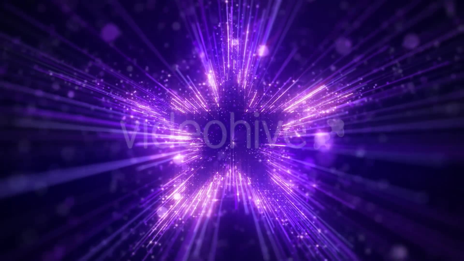 Purple Star Particles Background Videohive 20544935 Motion Graphics Image 6