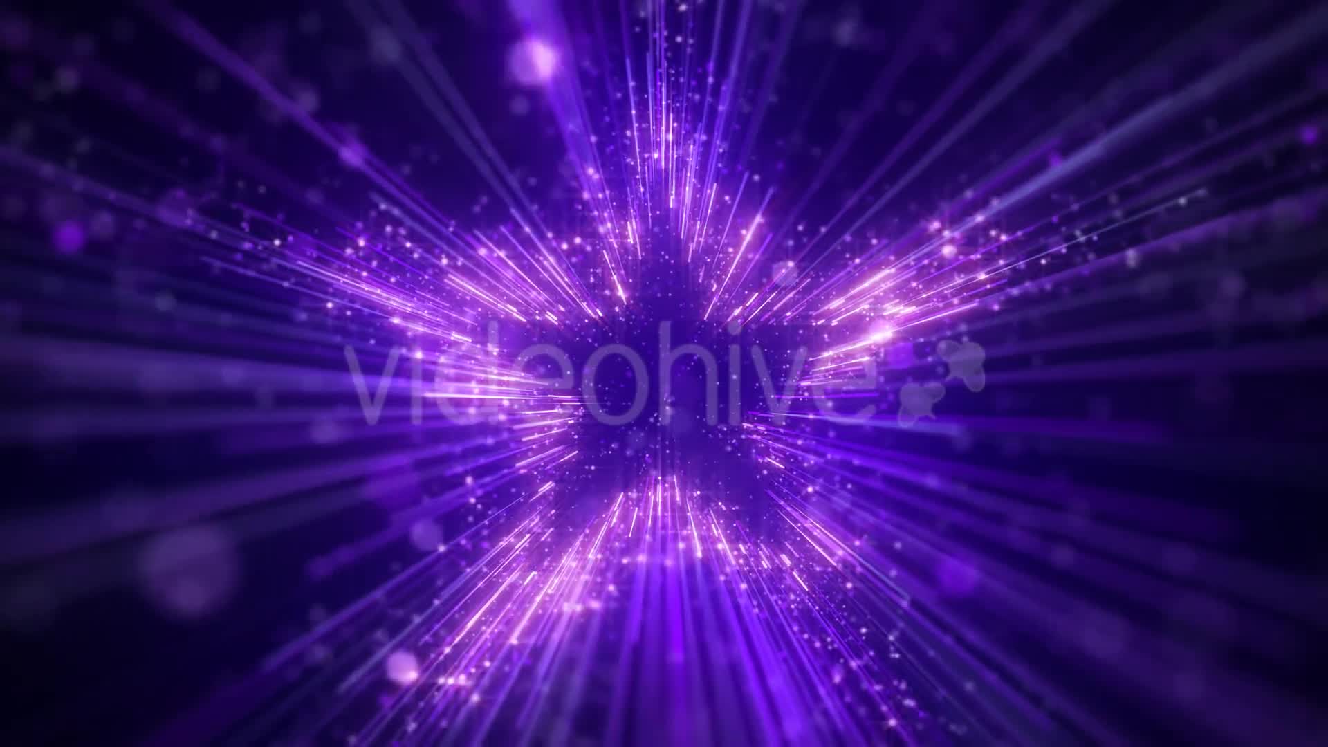 Purple Star Particles Background Videohive 20544935 Motion Graphics Image 7