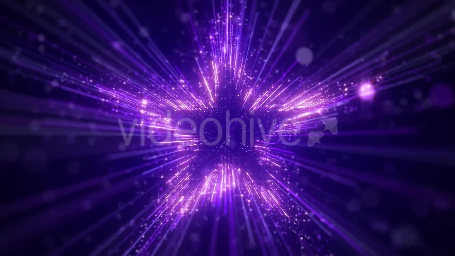 Purple Star Particles Background Videohive 20544935 Motion Graphics Image 8
