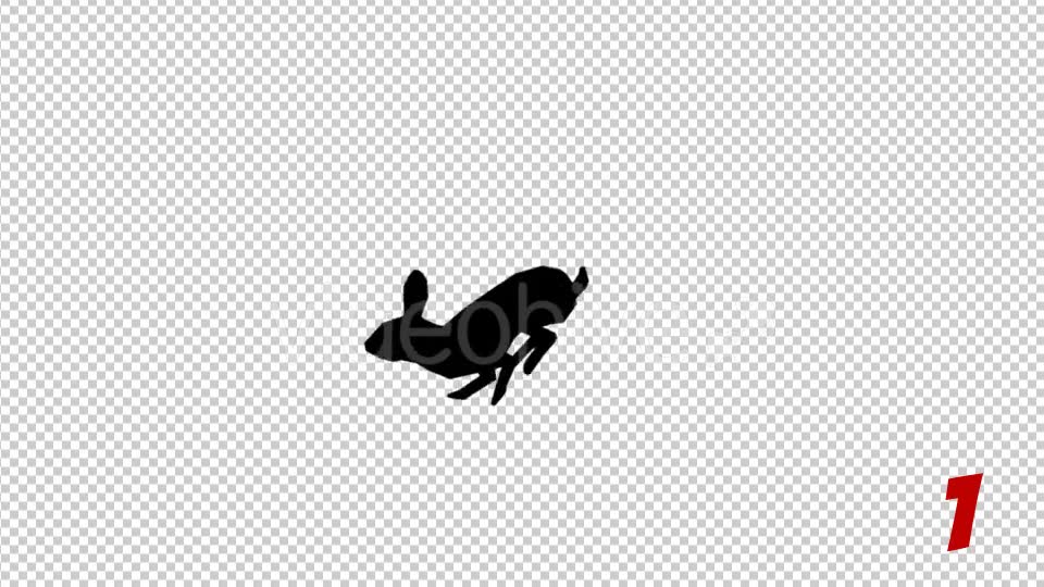 Rabbit Silhouettes Pack Videohive 19904495 Motion Graphics Image 2