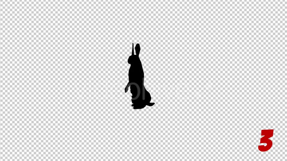 Rabbit Silhouettes Pack Videohive 19904495 Motion Graphics Image 6