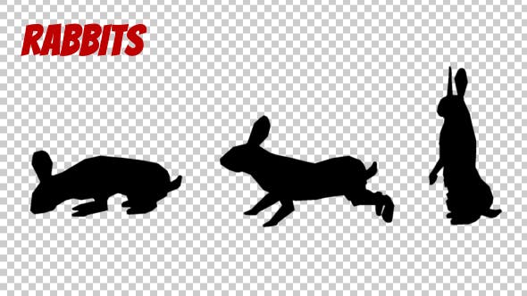 Rabbit Silhouettes Pack - Download Videohive 19904495