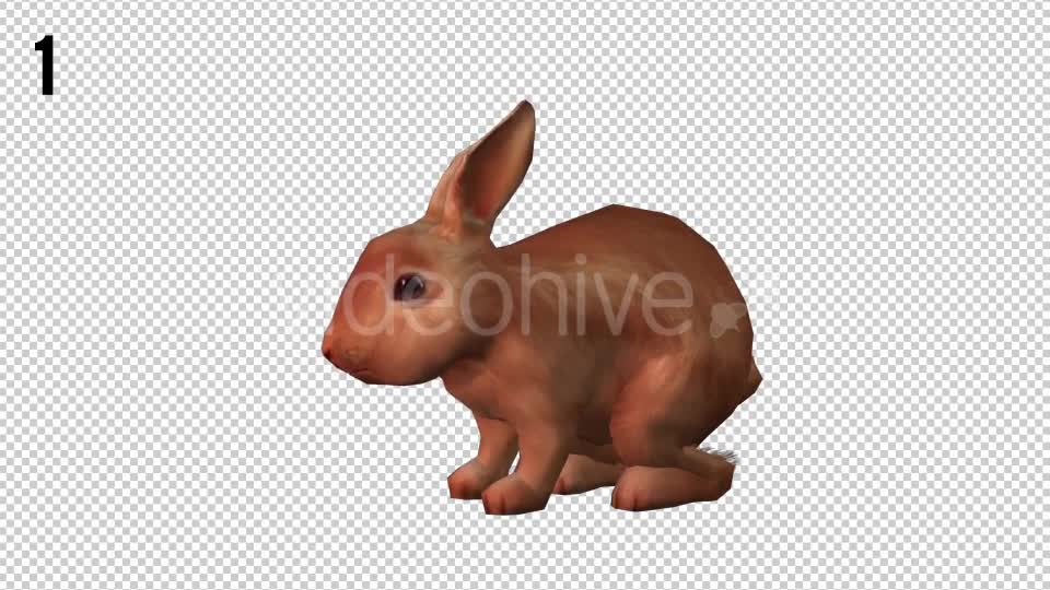 Rabbits Looped 2 Videohive 20704454 Motion Graphics Image 1
