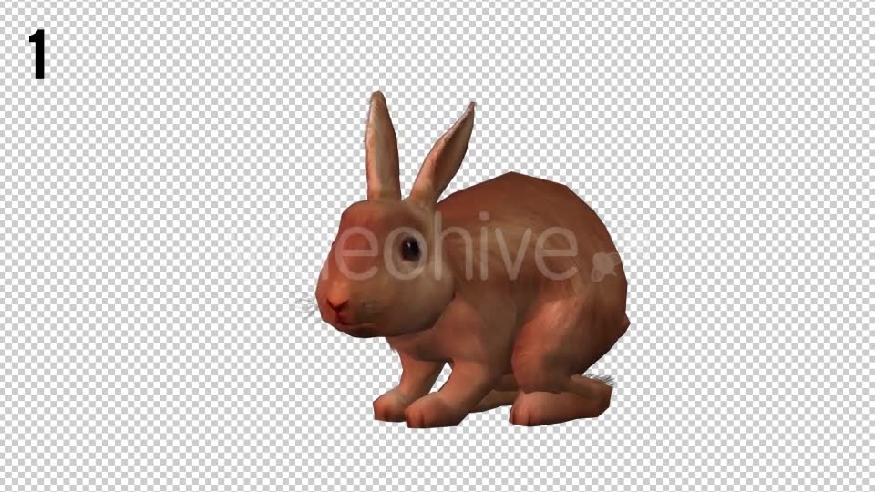 Rabbits Looped 2 Videohive 20704454 Motion Graphics Image 2