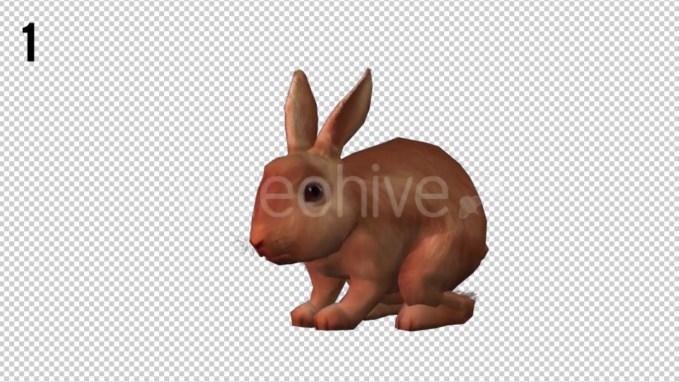 Rabbits Looped 2 Videohive 20704454 Motion Graphics Image 4