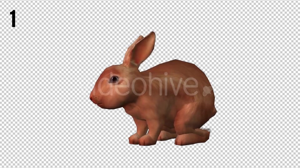 Rabbits Looped 2 Videohive 20704454 Motion Graphics Image 5