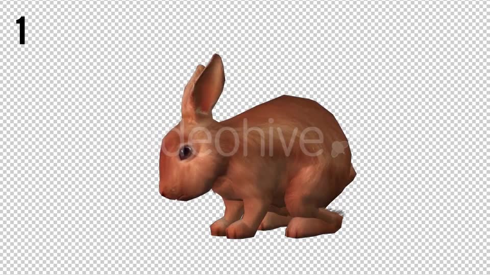 Rabbits Looped 2 Videohive 20704454 Motion Graphics Image 6