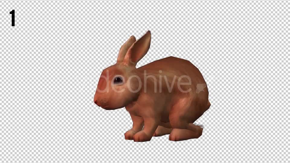 Rabbits Looped 2 Videohive 20704454 Motion Graphics Image 7