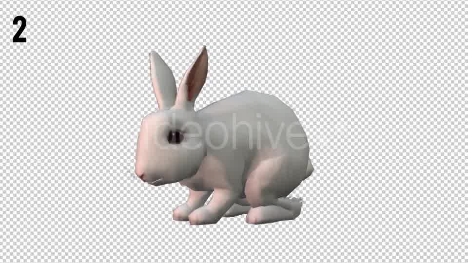 Rabbits Looped 2 Videohive 20704454 Motion Graphics Image 9