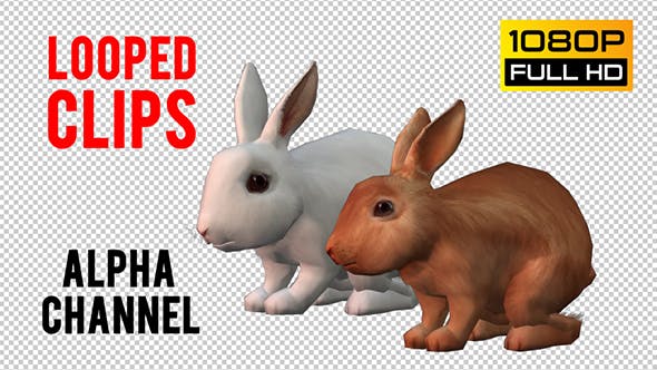 Rabbits Looped 2 - Download Videohive 20704454