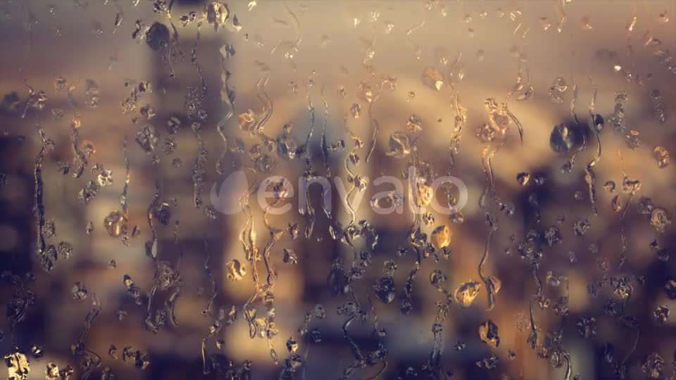 Rain Backgrounds Pack Videohive 22322374 Motion Graphics Image 1