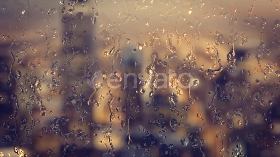 Rain Backgrounds Pack Videohive 22322374 Motion Graphics Image 2