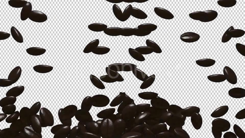 Rain Coffee Beans Transition Videohive 11871194 Motion Graphics Image 2