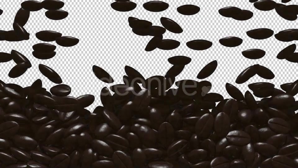 Rain Coffee Beans Transition Videohive 11871194 Motion Graphics Image 3