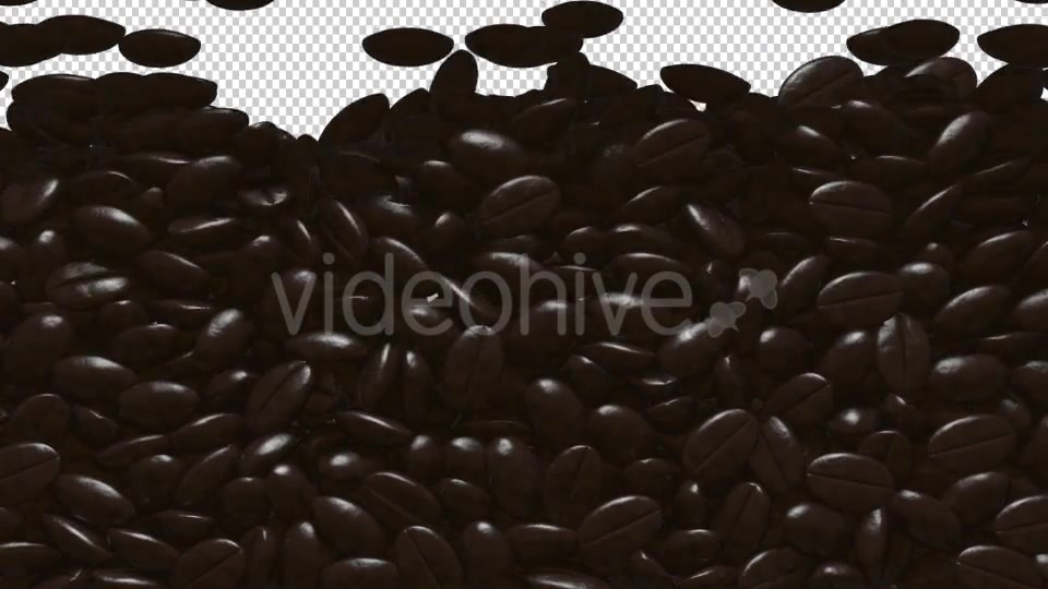 Rain Coffee Beans Transition Videohive 11871194 Motion Graphics Image 4