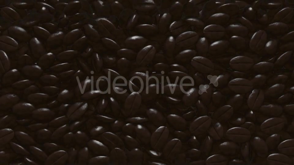 Rain Coffee Beans Transition Videohive 11871194 Motion Graphics Image 5