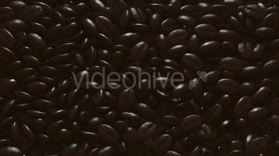 Rain Coffee Beans Transition Videohive 11871194 Motion Graphics Image 6