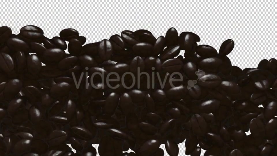 Rain Coffee Beans Transition Videohive 11871194 Motion Graphics Image 7