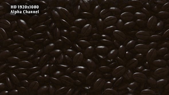 Rain Coffee Beans Transition - 11871194 Download Videohive