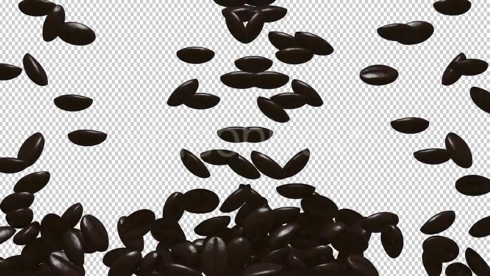 Rain Coffee Beans Transition Videohive 13010177 Motion Graphics Image 2