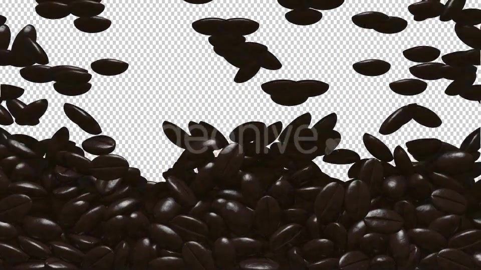 Rain Coffee Beans Transition Videohive 13010177 Motion Graphics Image 3