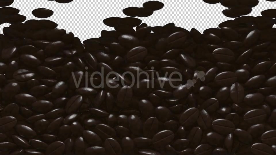 Rain Coffee Beans Transition Videohive 13010177 Motion Graphics Image 4