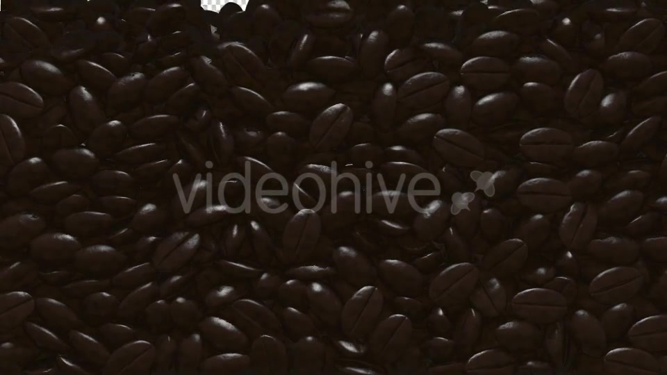 Rain Coffee Beans Transition Videohive 13010177 Motion Graphics Image 5