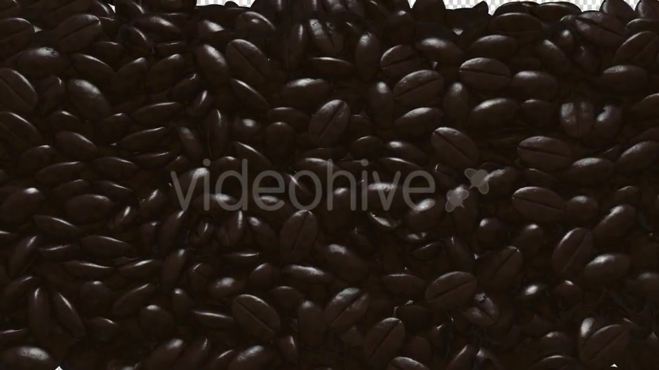 Rain Coffee Beans Transition Videohive 13010177 Motion Graphics Image 6
