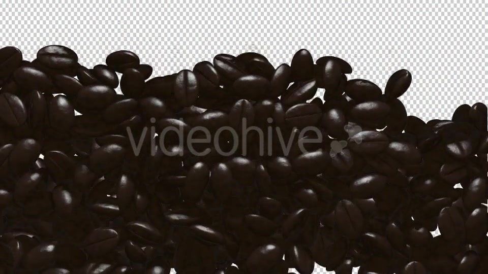 Rain Coffee Beans Transition Videohive 13010177 Motion Graphics Image 7