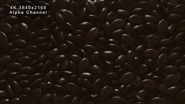 Rain Coffee Beans Transition - 13010177 Download Videohive