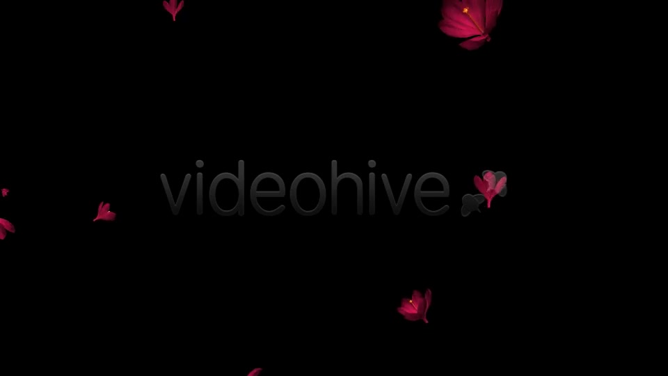 Rain of Flowers Red Crocus Pack of 2 Videohive 6638950 Motion Graphics Image 5