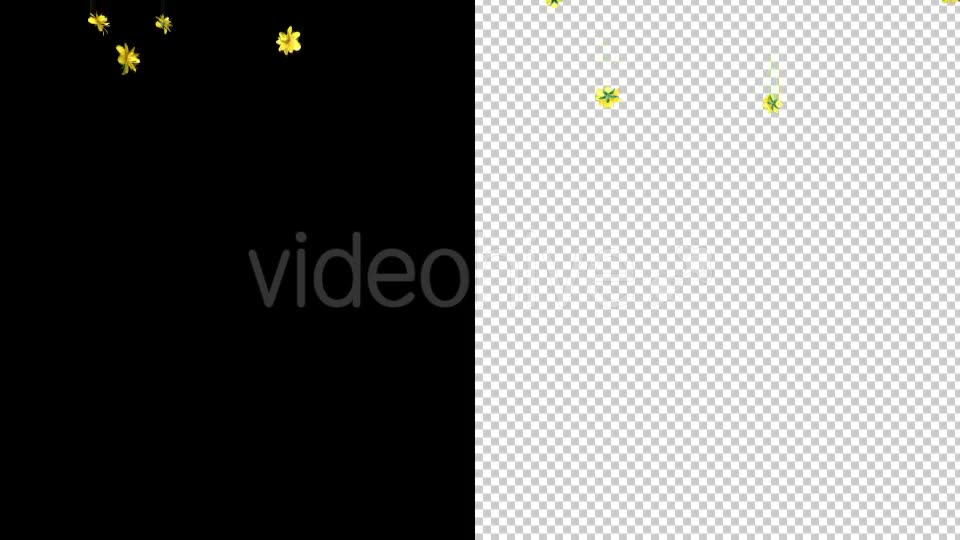 Rain of Yellow Flowers Videohive 19878272 Motion Graphics Image 2