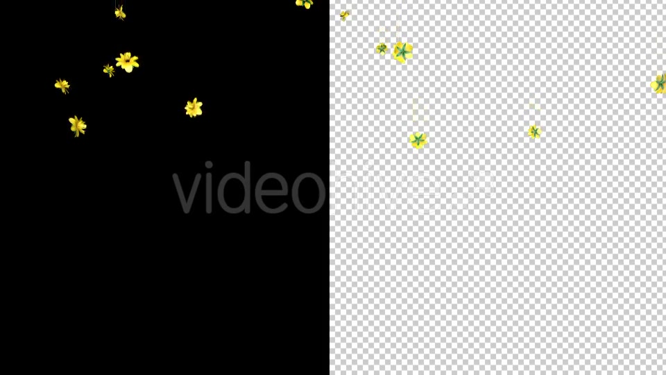 Rain of Yellow Flowers Videohive 19878272 Motion Graphics Image 3