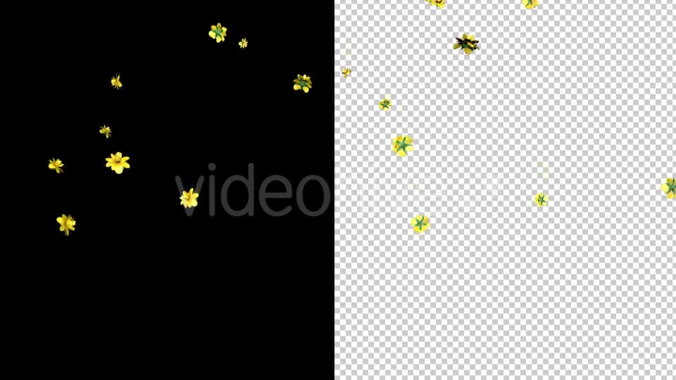 Rain of Yellow Flowers Videohive 19878272 Motion Graphics Image 4