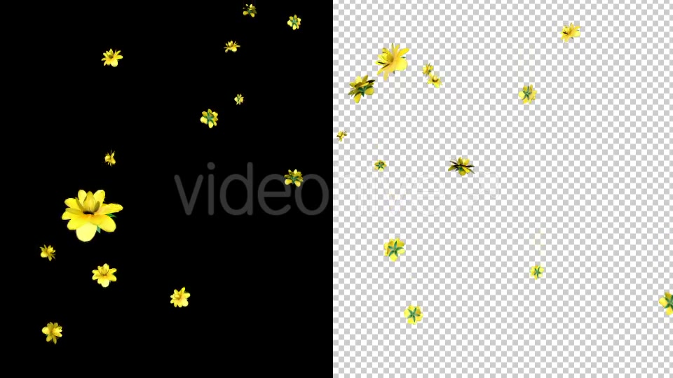 Rain of Yellow Flowers Videohive 19878272 Motion Graphics Image 5