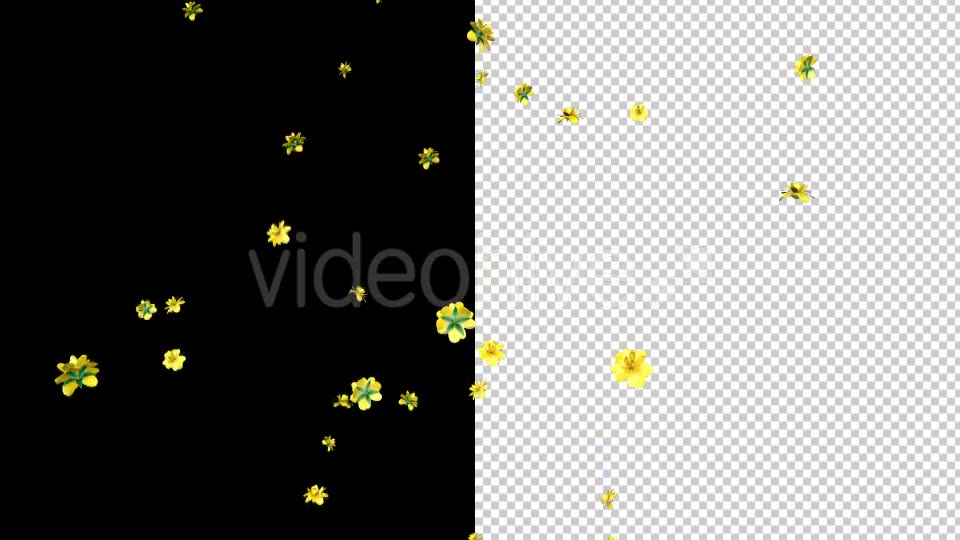 Rain of Yellow Flowers Videohive 19878272 Motion Graphics Image 8