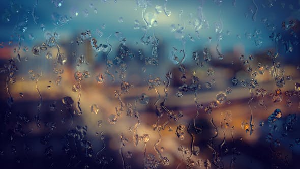 Rain on the Window - Download 22294856 Videohive