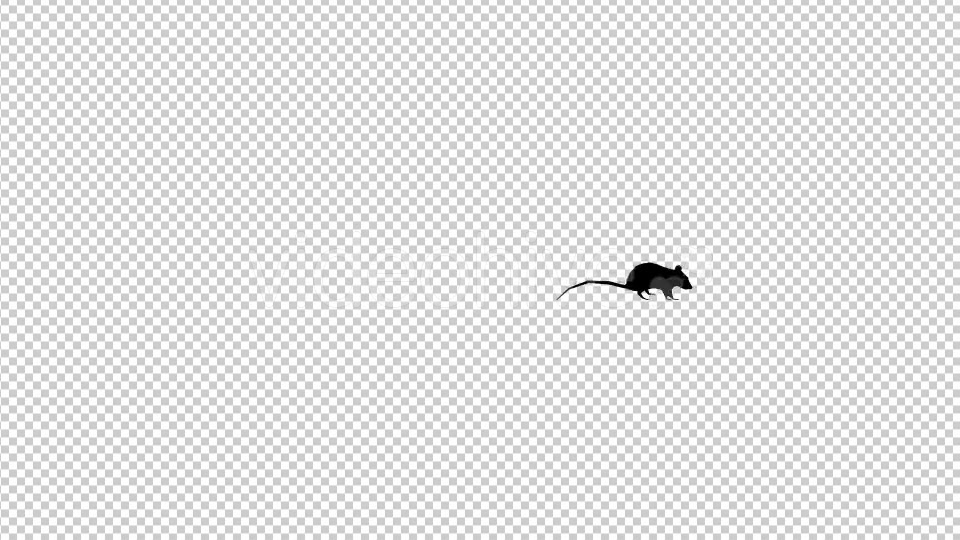 Rat Silhouette Running Videohive 19305437 Motion Graphics Image 3