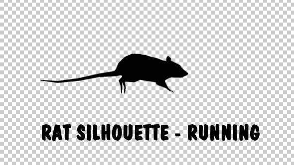 Rat Silhouette Running - Download 19305437 Videohive