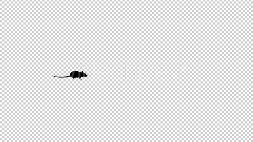 Rat Silhouette Walking Videohive 19305408 Motion Graphics Image 3