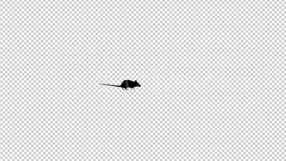 Rat Silhouette Walking Videohive 19305408 Motion Graphics Image 4