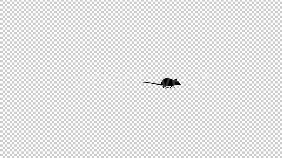 Rat Silhouette Walking Videohive 19305408 Motion Graphics Image 5