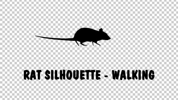 Rat Silhouette Walking - 19305408 Download Videohive