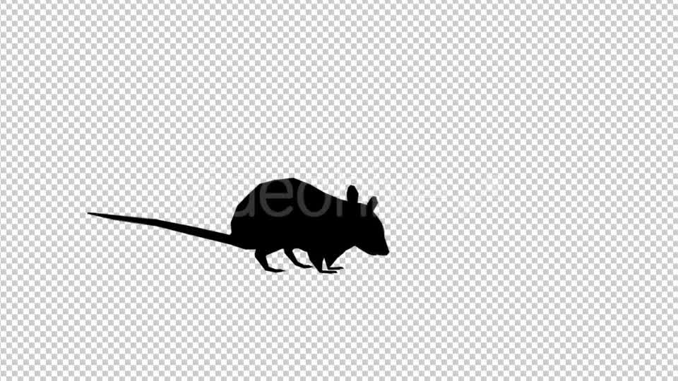Rats 3 Scene Videohive 20475052 Motion Graphics Image 10