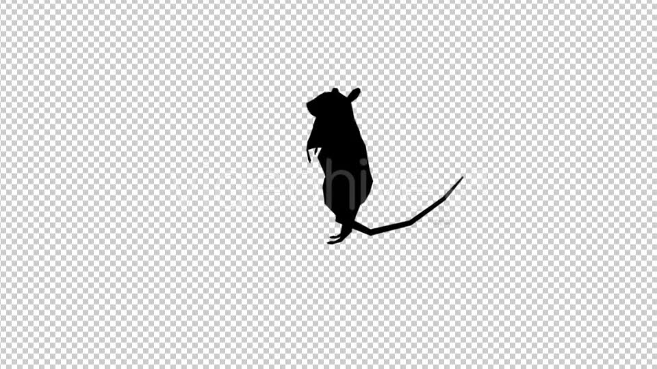 Rats 3 Scene Videohive 20475052 Motion Graphics Image 2