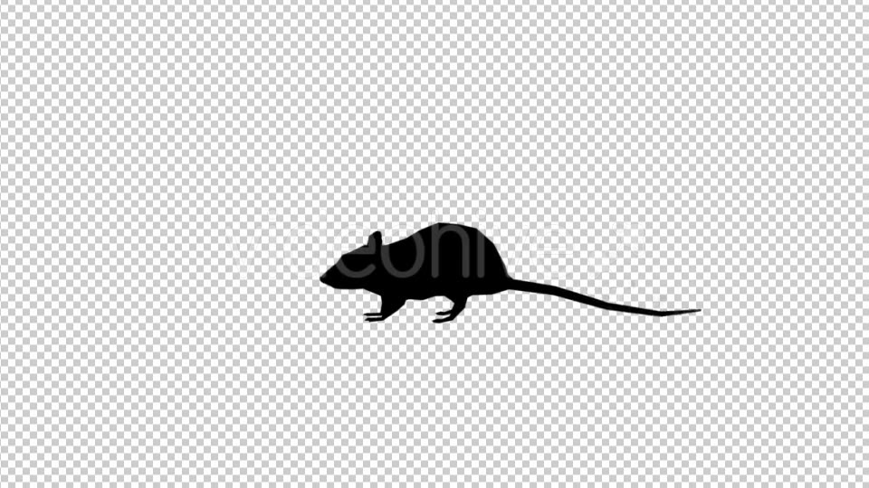 Rats 3 Scene Videohive 20475052 Motion Graphics Image 3