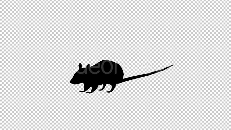 Rats 3 Scene Videohive 20475052 Motion Graphics Image 4