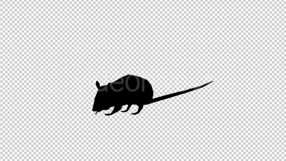 Rats 3 Scene Videohive 20475052 Motion Graphics Image 7