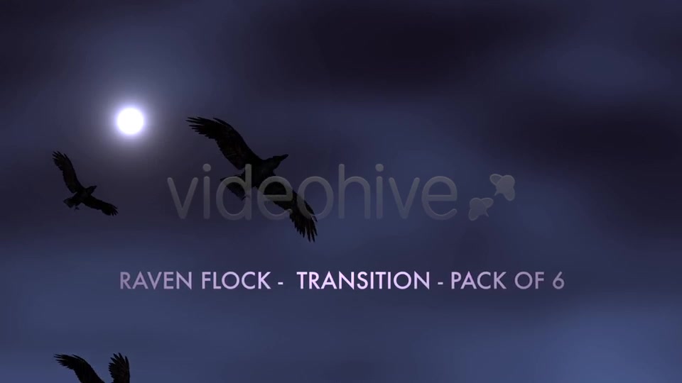 Raven Flock Transition Pack of 6 Videohive 5480778 Motion Graphics Image 3