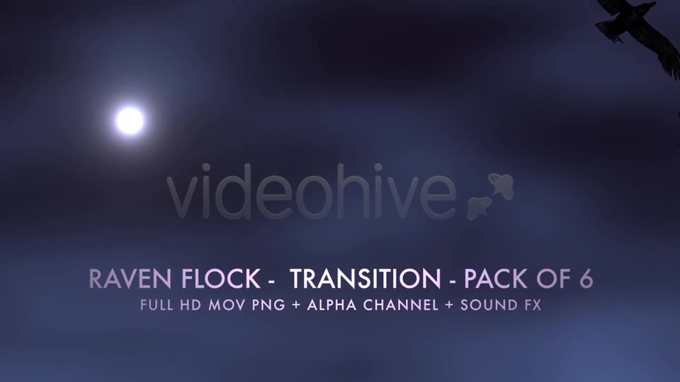 Raven Flock Transition Pack of 6 Videohive 5480778 Motion Graphics Image 4